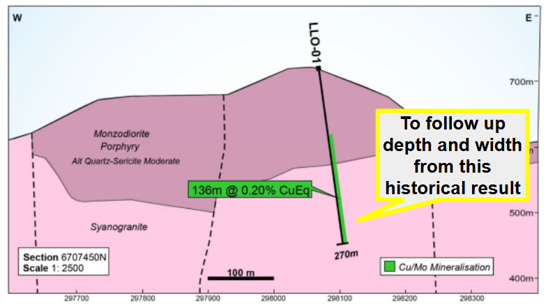 Next Investors Image