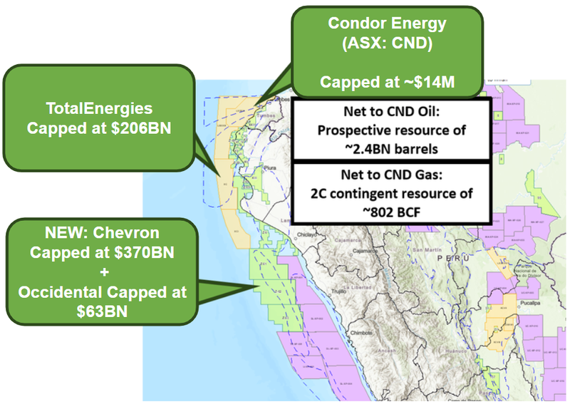 Next Investors Image