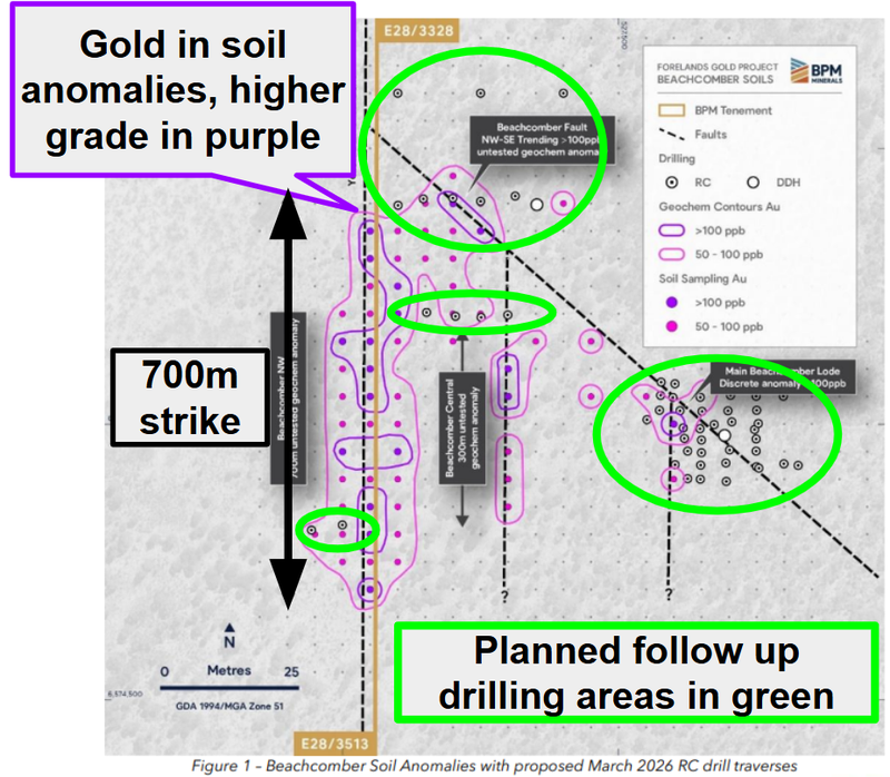 Next Investors Image