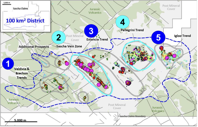 Next Investors Image