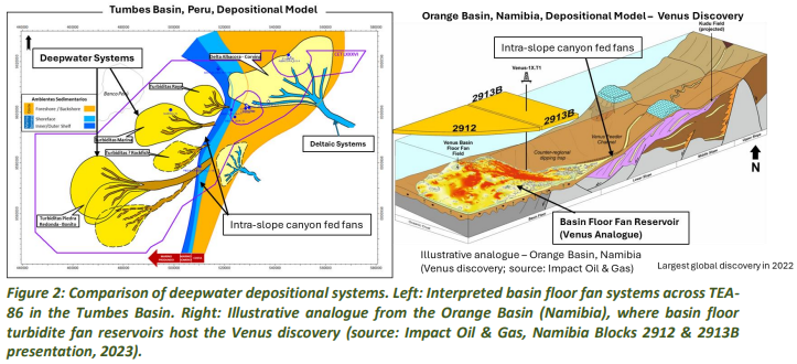 Next Investors Image