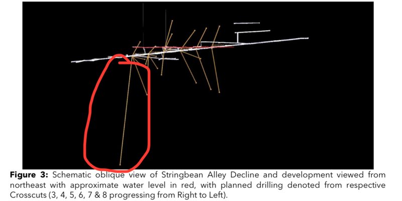 Next Investors Image