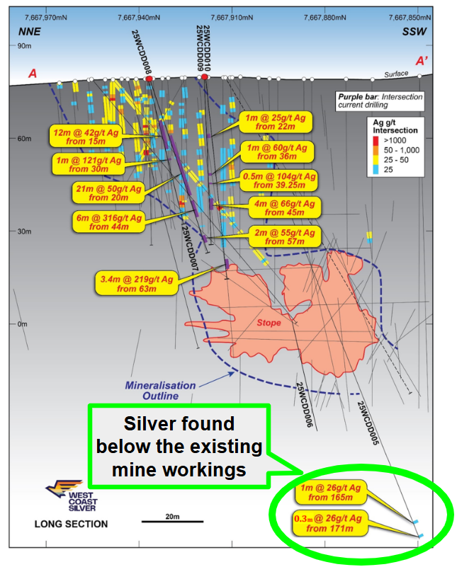 Next Investors Image