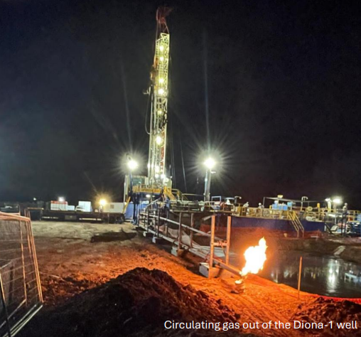 Next Investors Image