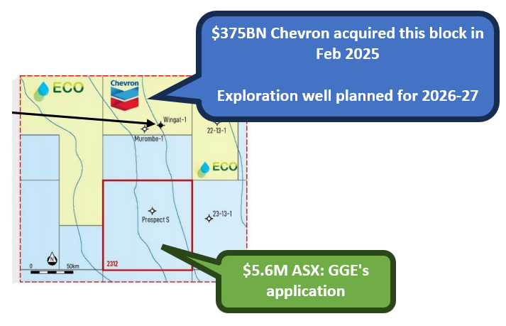 Next Investors Image