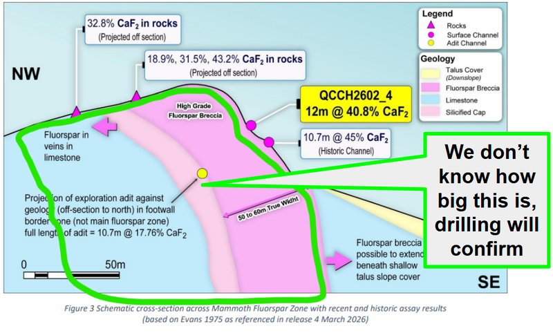 Next Investors Image