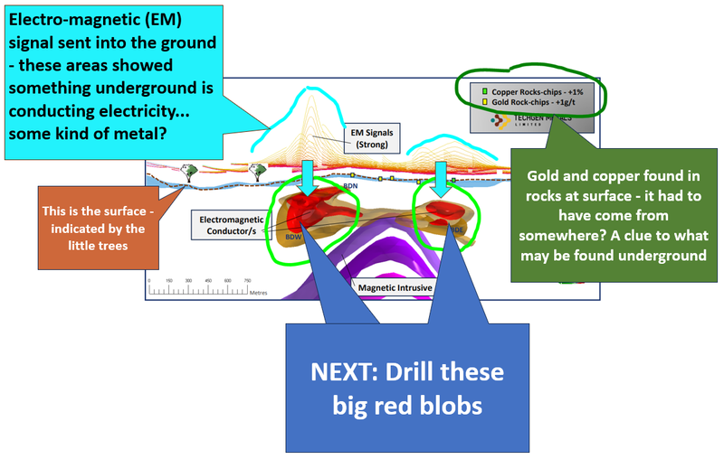 Next Investors Image