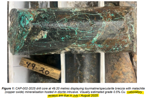 Next Investors Image