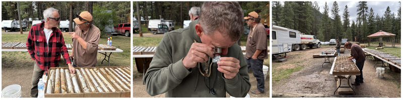 Next Investors Image