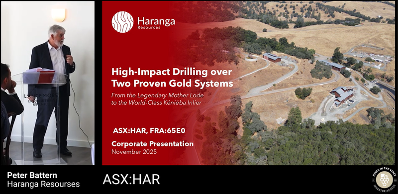 Next Investors Image