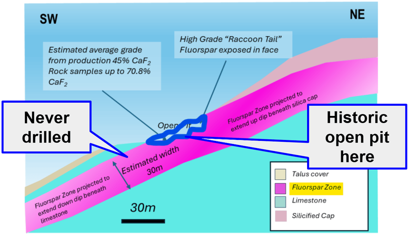 Next Investors Image