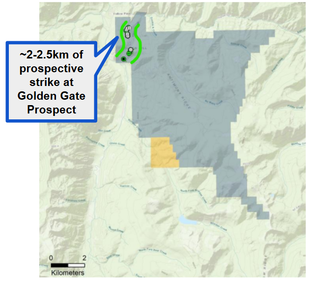 Next Investors Image