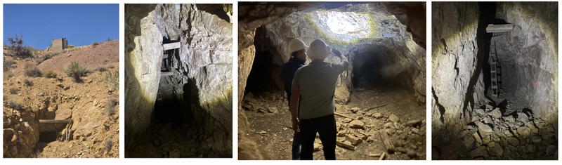 Next Investors Image