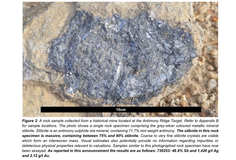 Next Investors Image