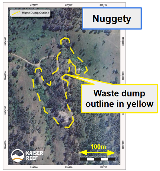 Next Investors Image