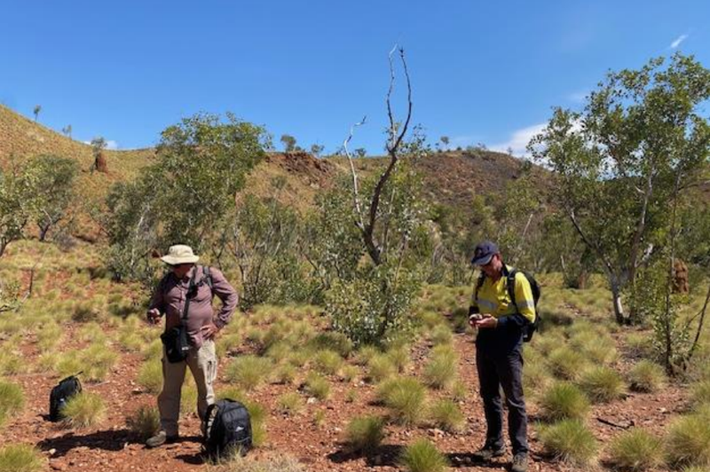 Next Investors Image