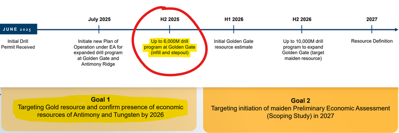 Next Investors Image