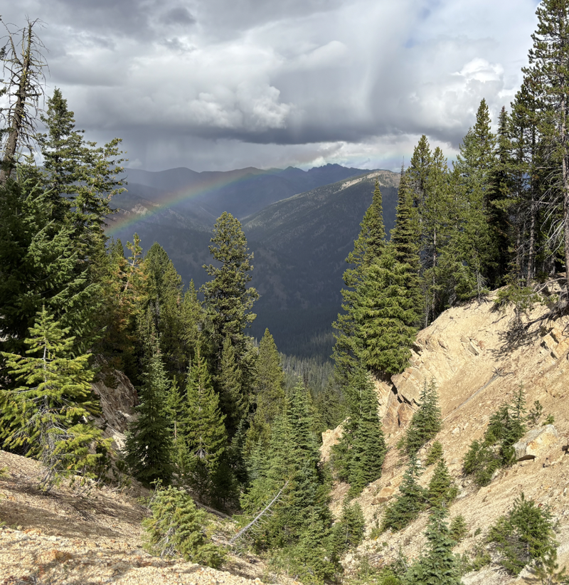 Next Investors Image