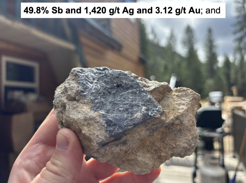 Next Investors Image