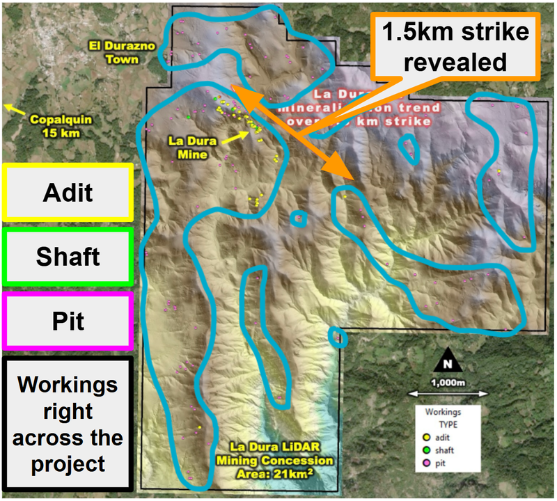 Next Investors Image