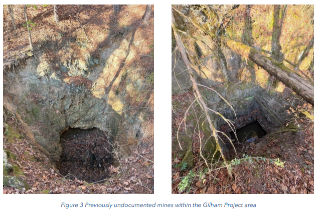 Next Investors Image