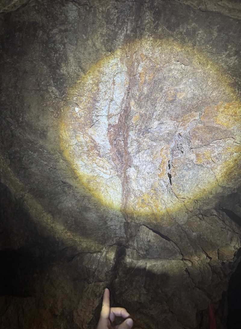 Next Investors Image