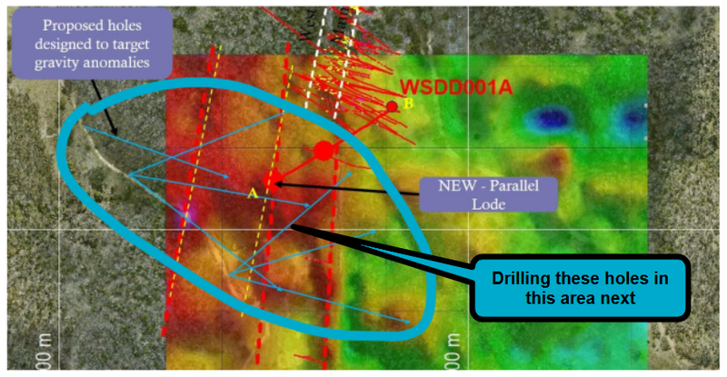 Next Investors Image