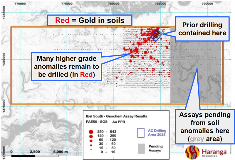 Next Investors Image