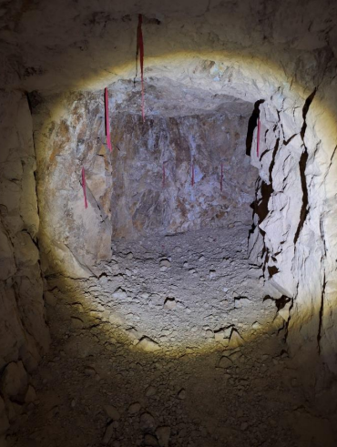 Next Investors Image