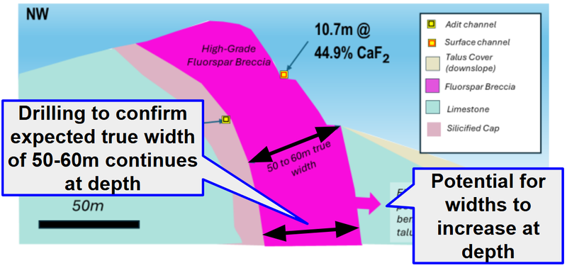 Next Investors Image