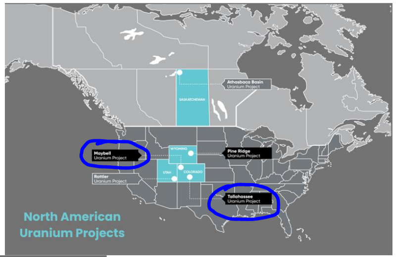 Next Investors Image