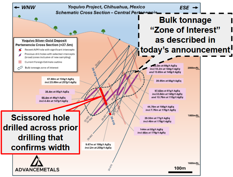 Next Investors Image