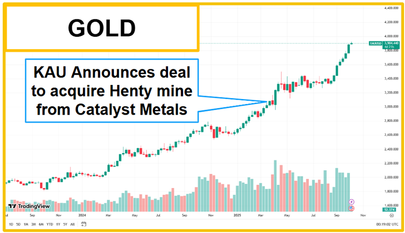 Next Investors Image