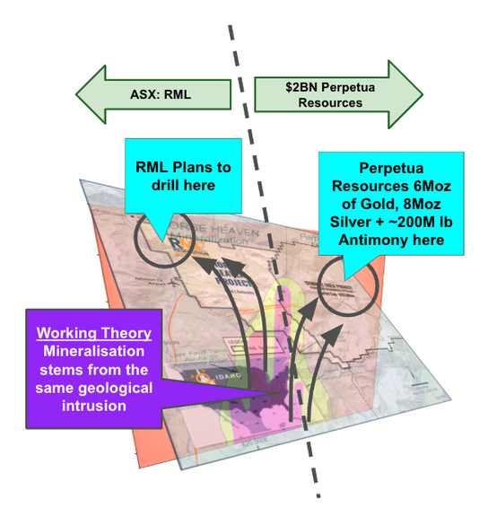 Next Investors Image