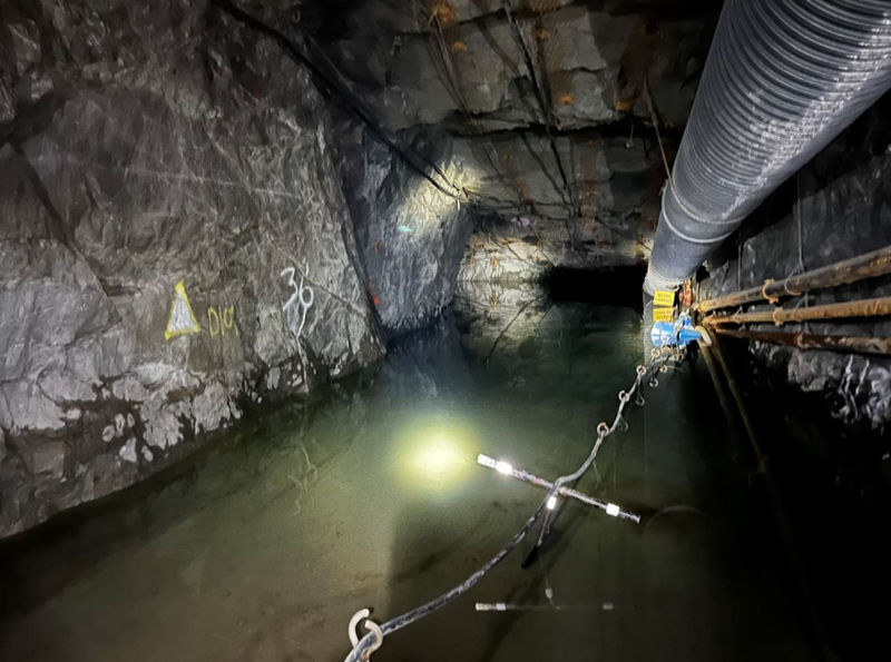 Next Investors Image