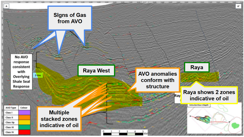 Next Investors Image
