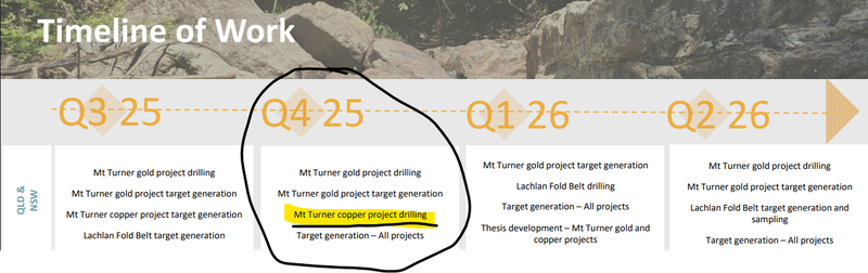 Next Investors Image