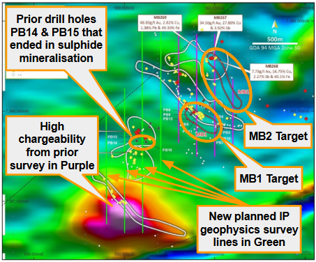 Next Investors Image