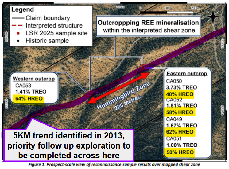 Next Investors Image