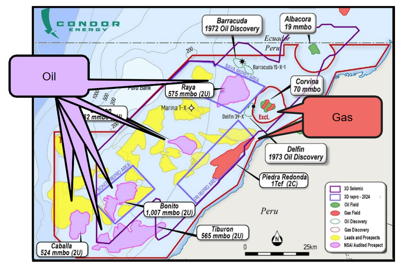 Next Investors Image