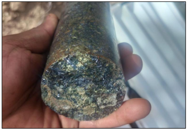 Next Investors Image