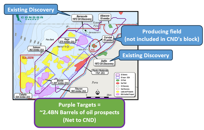Next Investors Image