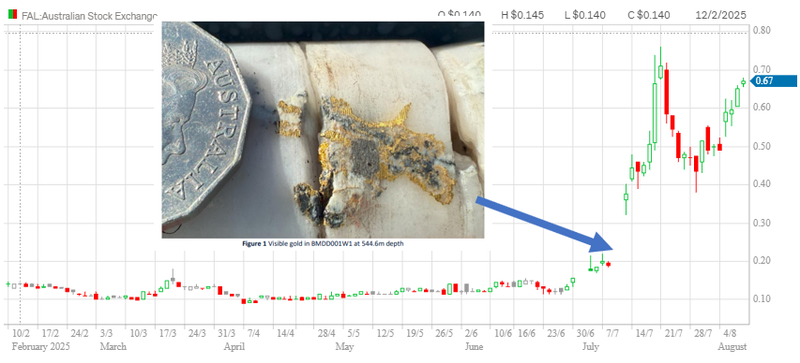 Next Investors Image