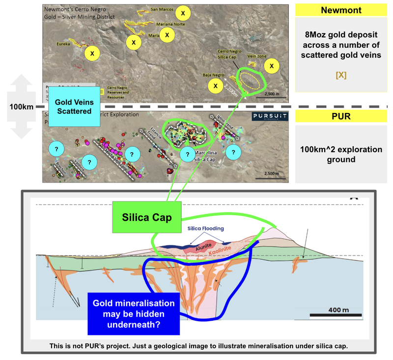 Next Investors Image