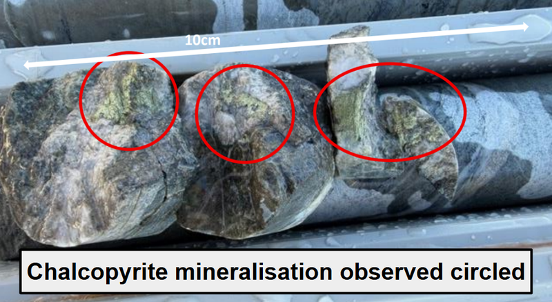 Next Investors Image