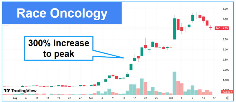 Next Investors Image