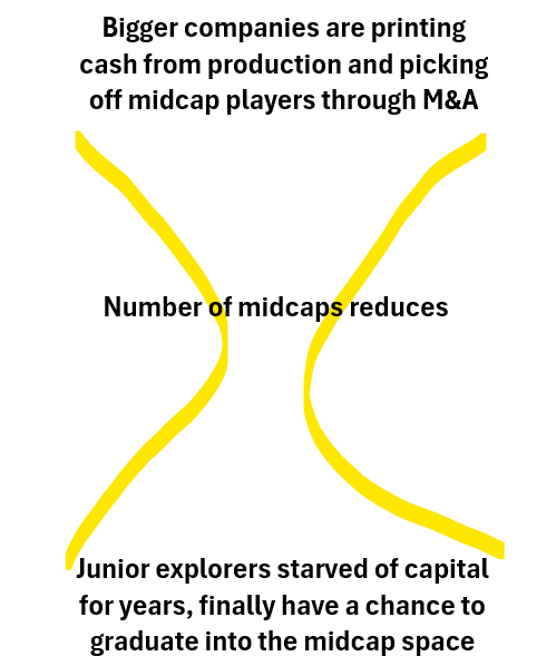 Next Investors Image