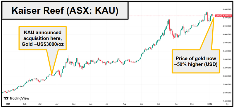 Next Investors Image