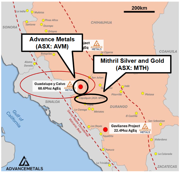 Next Investors Image