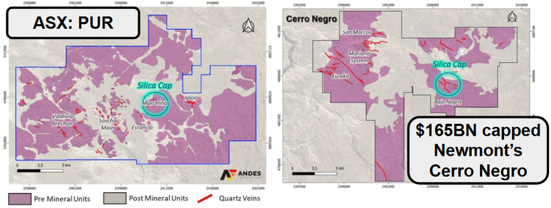 Next Investors Image